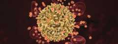 HIV infection Digital illustration shows a yellow, crinkly cell with many red-orange particles emanating from it.
