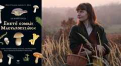 Te tudod, melyik gomba ehető? – Ebből a könyvből kiderül!