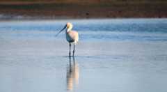 Ismerd meg a Duna szerepét a klímaváltozásban a Futurotechán!