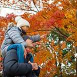 行ってみたい紅葉ランキング