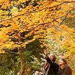 行ってよかった紅葉ランキング