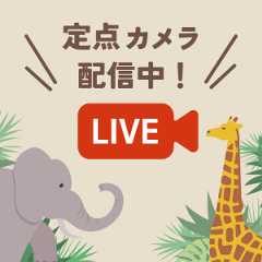 動植物園ライブカメラ