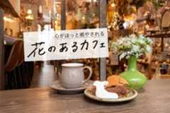 熊本の花カフェ６選