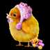 gurdrug sent you a chicken
