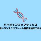 【シングルセル】空間トランスクリプトーム解析の始め方【Scanpy】
