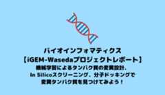 機械学習によるタンパク質の変異設計、In Silicoスクリーニング、分子ドッキング【iGEM-Wasedaプロジェクトレポート】