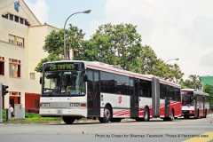 SBS Mercedes-Benz O405G (SBS999U) - Service 290. Photo by Chopio.