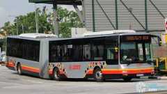 SMRT MAN NG363F A24 (SMB8004Y) - Service 804