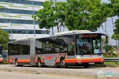 SMRT MAN NG363F A24 (SMB8008L) - Airshow Shuttle 2016