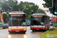 SMRT MAN NG363F A24 buses during the 2016 Singapore Airshow