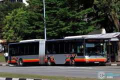 Service 811 - SBS Transit MAN A24 (SMB8010D)