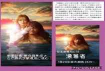 漂着者