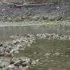 PICT0055.JPG