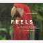 Feels (feat. Pharrell Williams, Katy Perry & Big Sean) - Single
