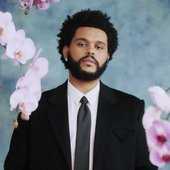 the weeknd <33