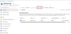 Screenshot of the Delete button on the lab Overview page.