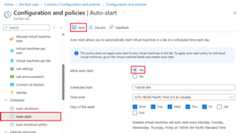 Screenshot showing the Autostart selection.