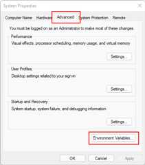 The Windows system properties panel open.