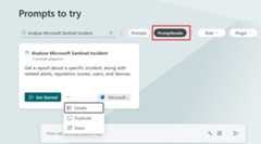 Screenshot of the promptbook options.