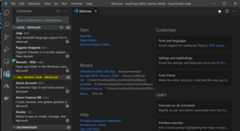 VS Code with WSL extensions displayed