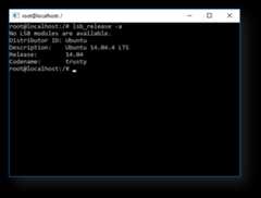Screenshot of distro details