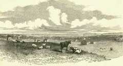 Early day Lawrence in Kansas Territory. Early day Lawrence in Kansas Territory