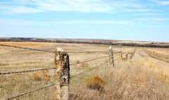 Post Rock Fence in Ellis County, Kansas. 