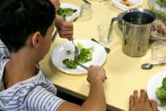 Lentille sociale, tu perds ton sang-froid