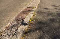 Djamel Bendjaballah, le crime raciste dont il faut dire le nom