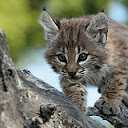 Filip Ž's user avatar