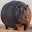 Hippopotoman's user avatar