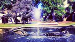 fountain in front of trees with purple tint