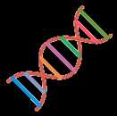 Research Portal Icon