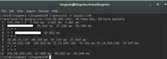 traceroute -n command