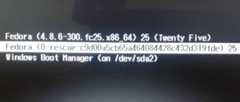 Dual-boot Fedora 25, Windows 10 on a computer with UEFI firmware