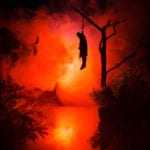 Top 10 Truly Disturbing Facts About Japan's Suicide Forest