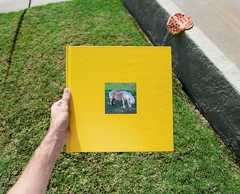 53d0fbdd49b49c6499bb