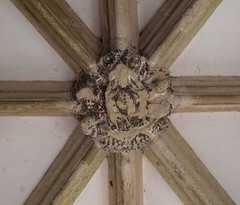 Assumption of the Blessed Virgin