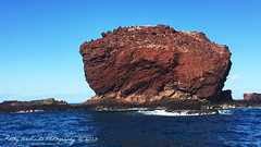 Hawaiian Rock taken on 2016-04-12T08:42:40-08:00 by Kathy Andrada