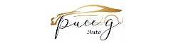 PUCE G. AUTO SRL