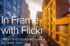 In Frame with Flickr: Golden Hour