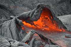 Pele (a0000398) taken on 2012-10-07T08:48:19-08:00 by thtbln