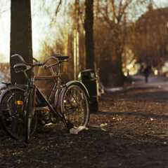 The afternoon's walk