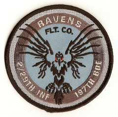 Flight Company, 2nd Battalion, 29th Infantry Regiment, 197th Infantry Brigade