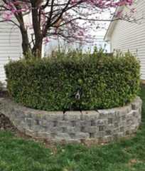 68d11637bd0d6_hilarious-pets-hid