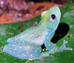 68d103f040242_5uw8z0do9uof1-jpeg