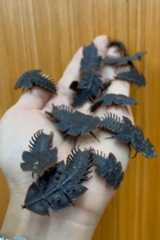 324234-68d1004bbd2f0__880(1)