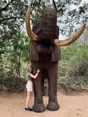 68bfc3650a65d_unusually-large-animals__700