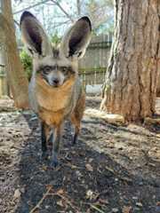 68d1001a579b0_kow51vde27l81__880(1)