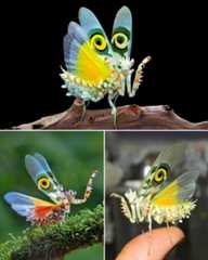 68d1002049c99_sj5x934ssepf1__880